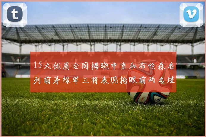 15大优质合同揭晓申京和布伦森名列前茅绿军三将表现抢眼前两名堪称传奇
