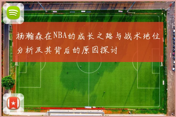 杨瀚森在NBA的成长之路与战术地位分析及其背后的原因探讨