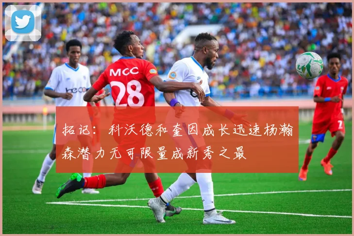拓记：科沃德和奎因成长迅速杨瀚森潜力无可限量成新秀之最