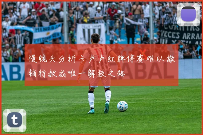 慢镜头分析卡卢卢红牌停赛难以撤销特赦成唯一解救之路