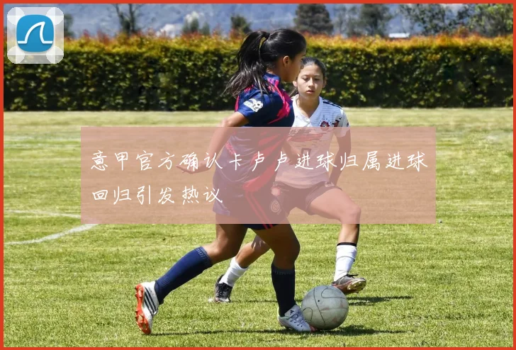 意甲官方确认卡卢卢进球归属进球回归引发热议